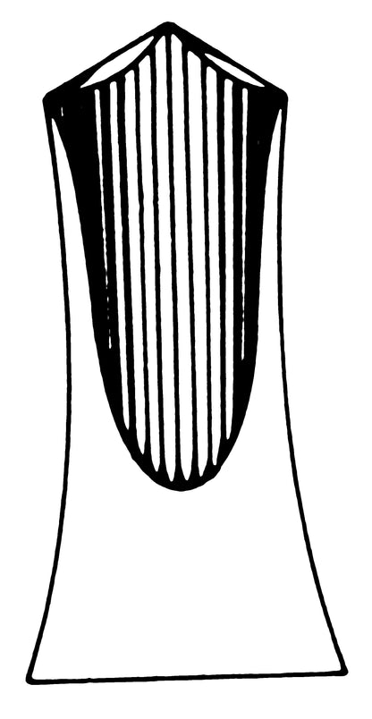 J&J Instruments Extracting Forcep - English-style Hinge