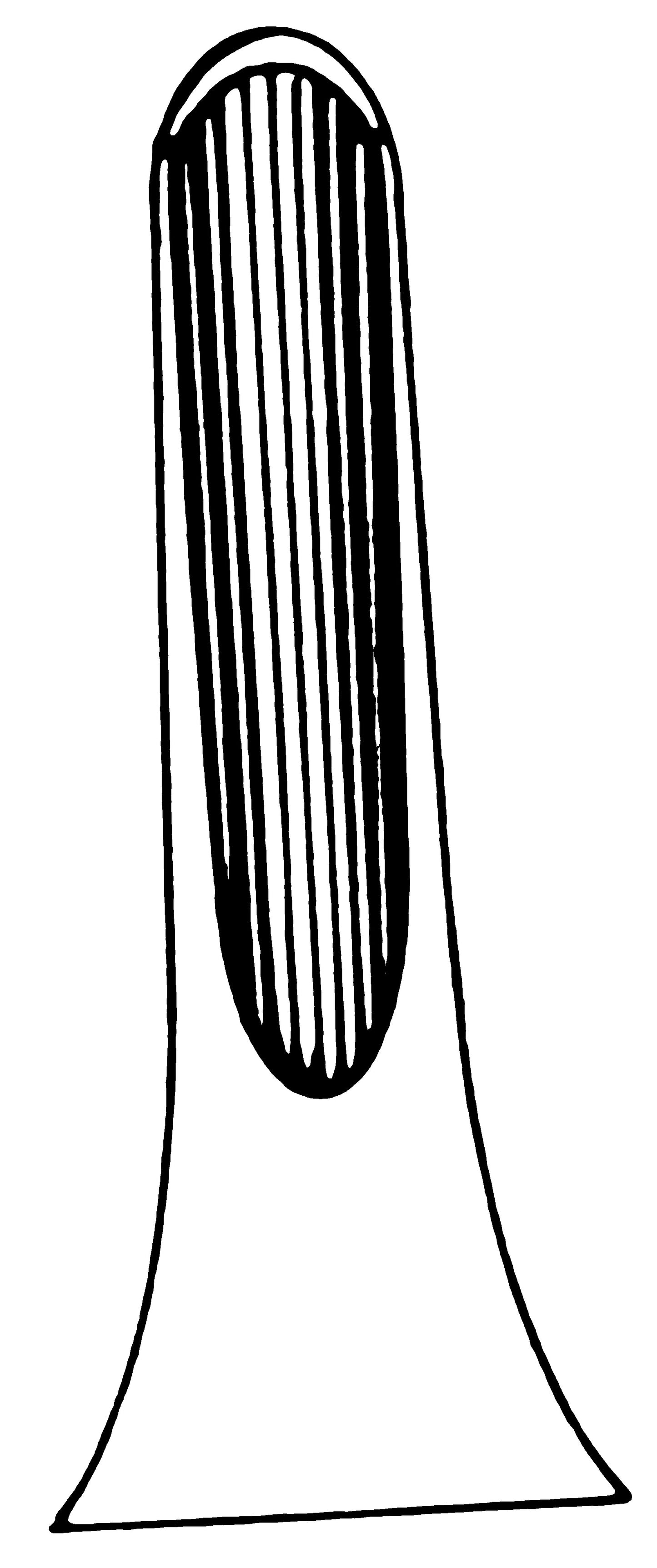 J&J Instruments Extracting Forcep - English-style Hinge